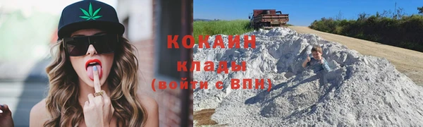прущие грибы Арсеньев