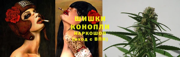 прущие грибы Арсеньев