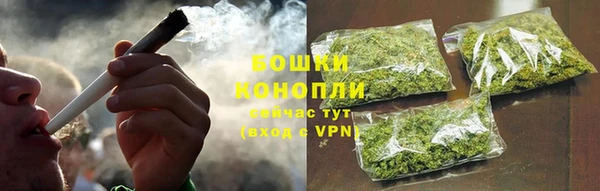 PSILOCYBIN Аркадак