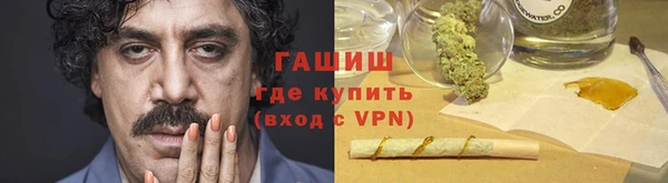 PSILOCYBIN Аркадак