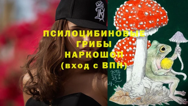 PSILOCYBIN Аркадак