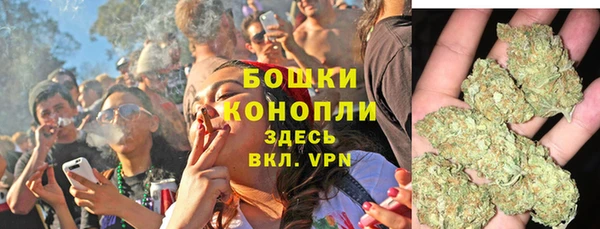 PSILOCYBIN Аркадак