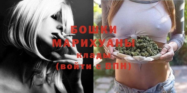 прущие грибы Арсеньев